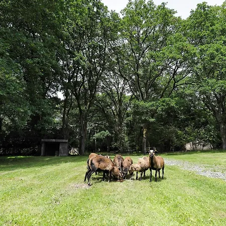 - La Clairiere Aux Chenes Treillières